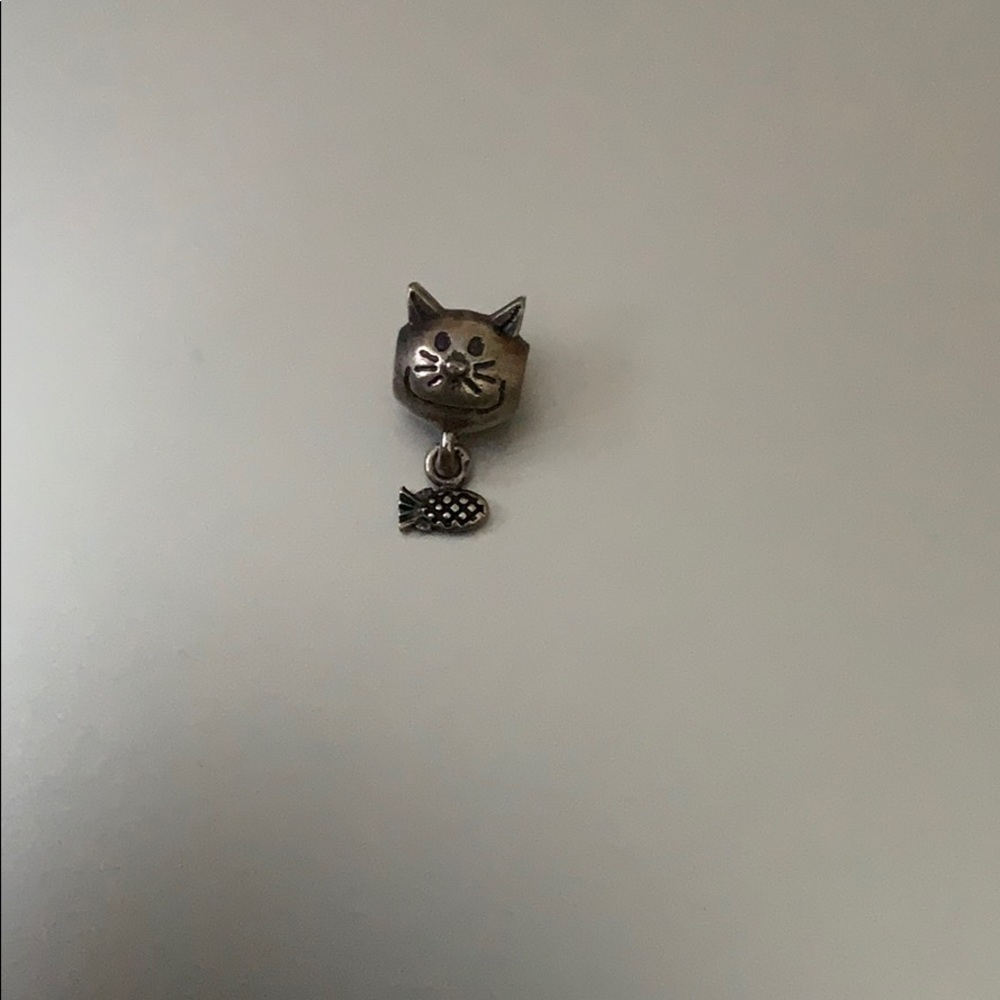 Charmed memories cat charm